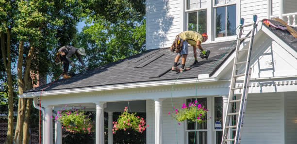 Best Roof Gutter Cleaning  in Grayson, GA